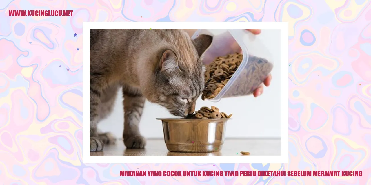 Makanan yang Cocok untuk Kucing