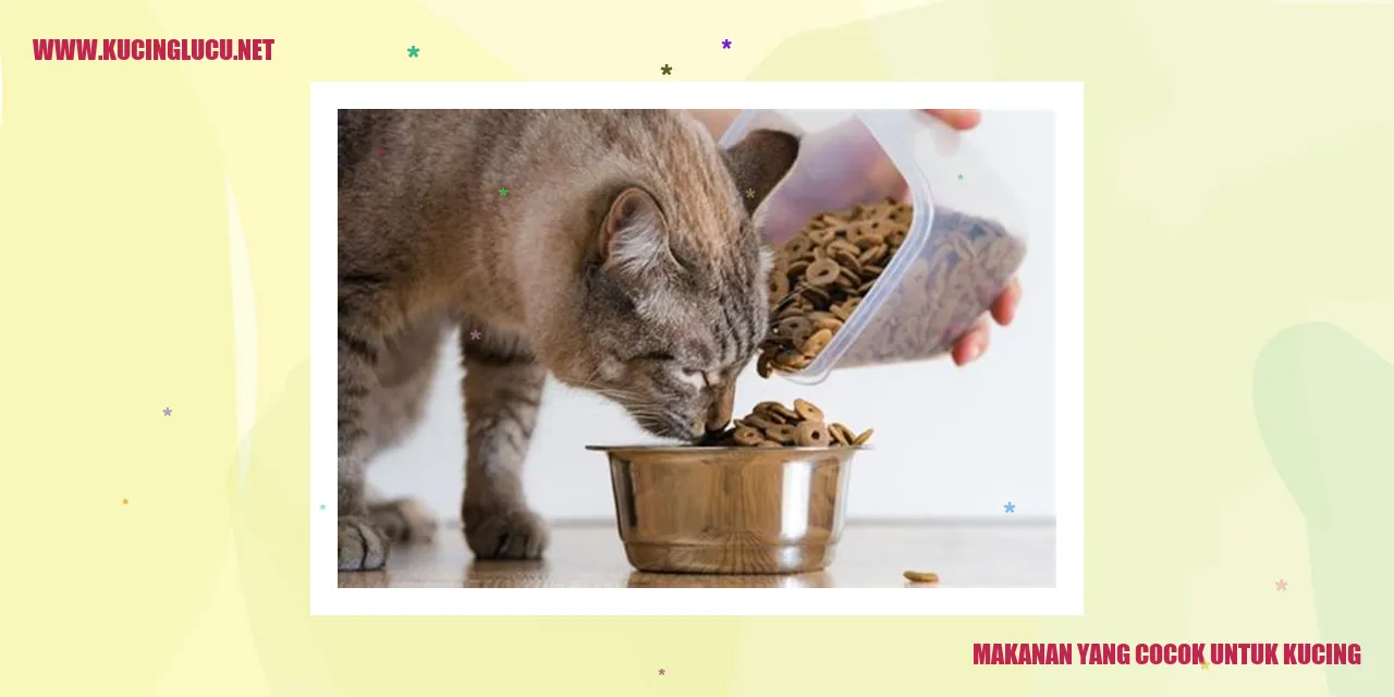 Makanan yang Cocok untuk Kucing
