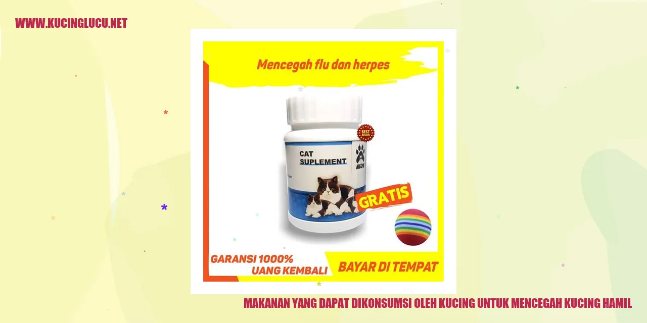 Makanan yang Cocok untuk Kucing cara mencegah kucing hamil