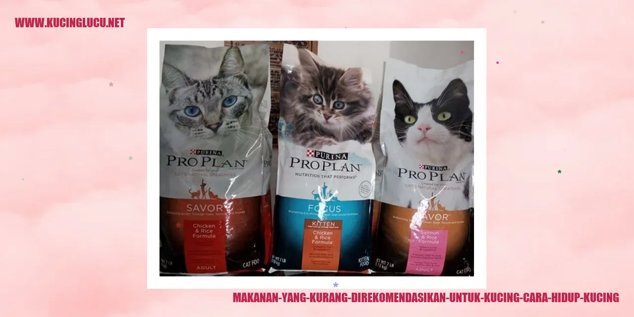 Makanan yang Kurang direkomendasikan untuk Kucing cara Hidup Kucing