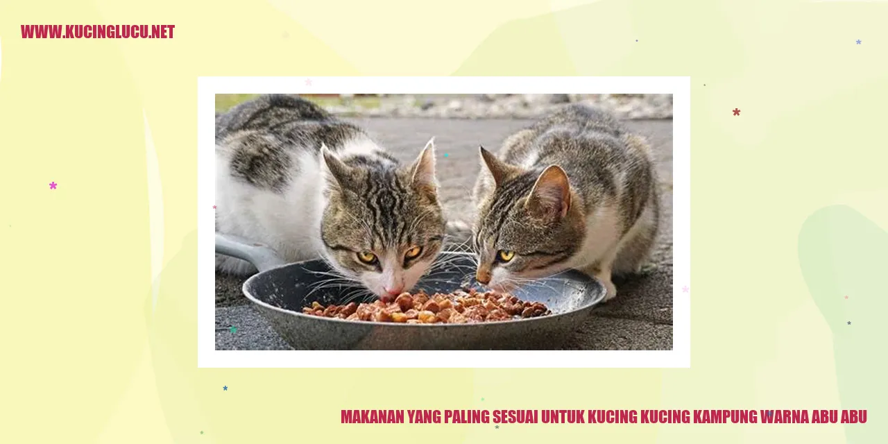 Gambar Kucing Abu Abu