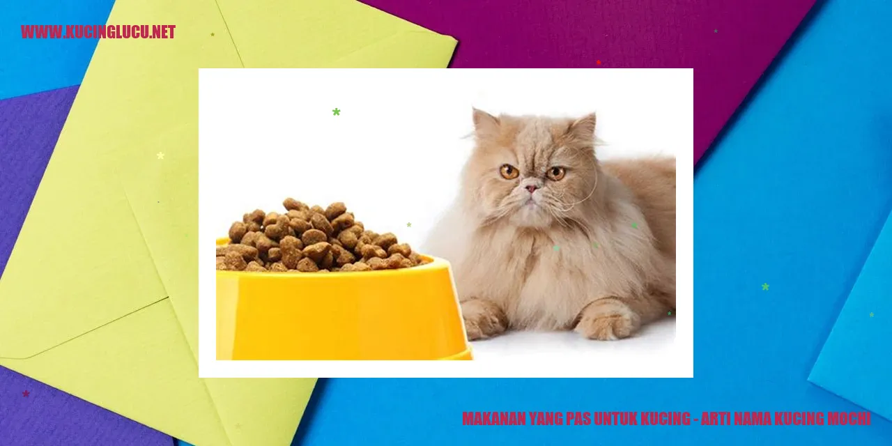 kucing mochi