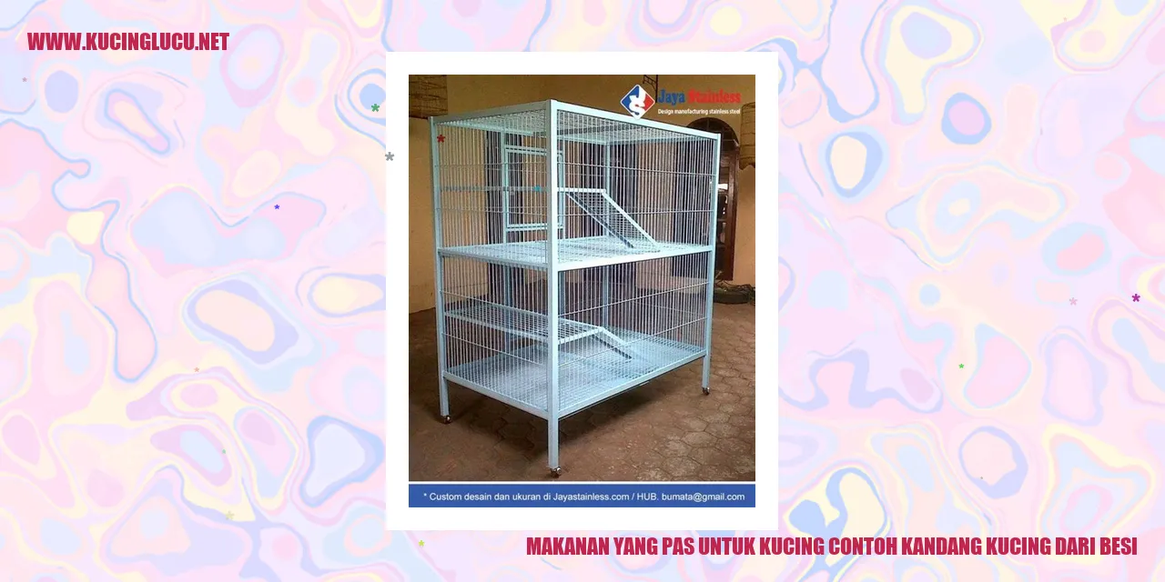 gambar kucing