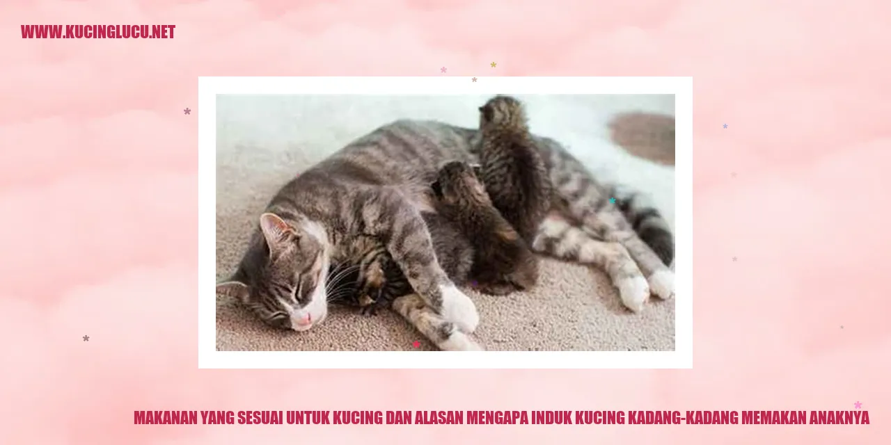 Makanan yang Sesuai untuk Kucing dan Alasan Mengapa Induk Kucing Kadang-Kadang Memakan Anaknya