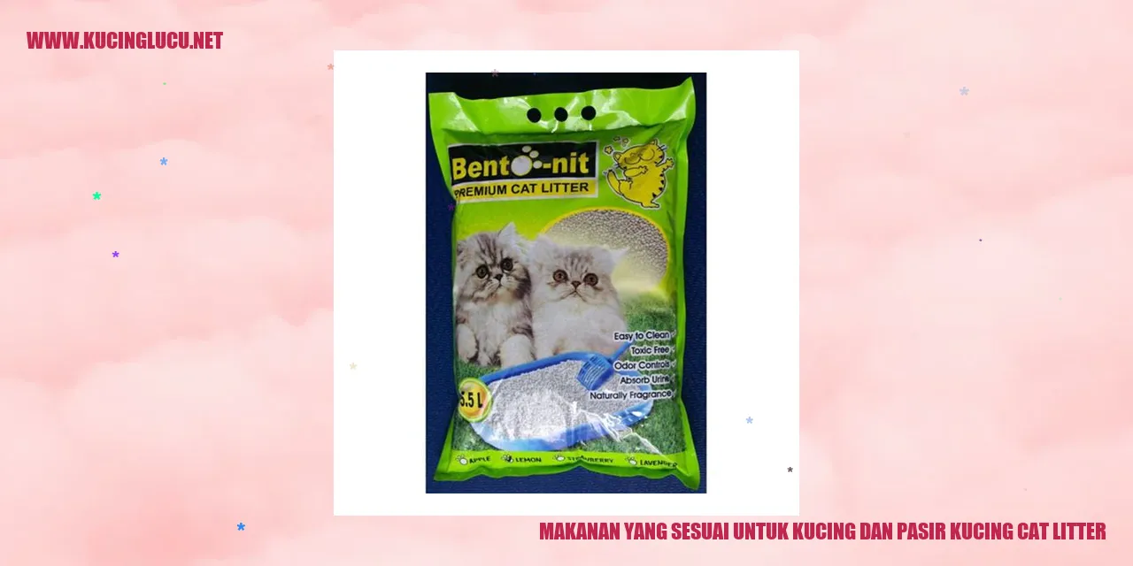 Makanan yang Sesuai untuk Kucing dan Pasir Kucing Cat Litter