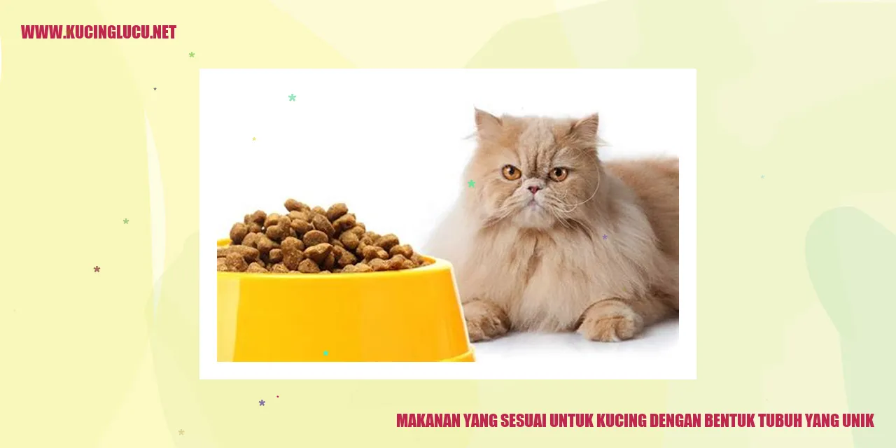 Makanan yang Cocok untuk Kucing dengan Struktur Tubuh yang Unik