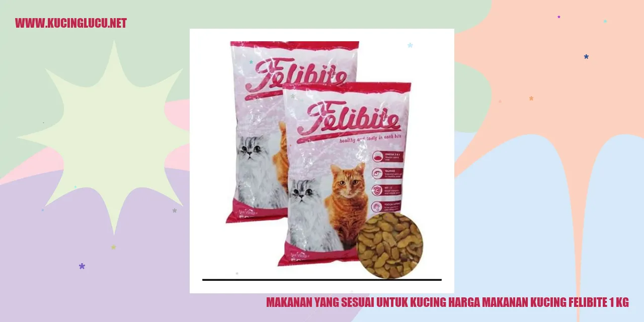 makanan kucing