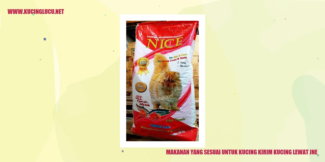 Ilustrasi makanan kucing