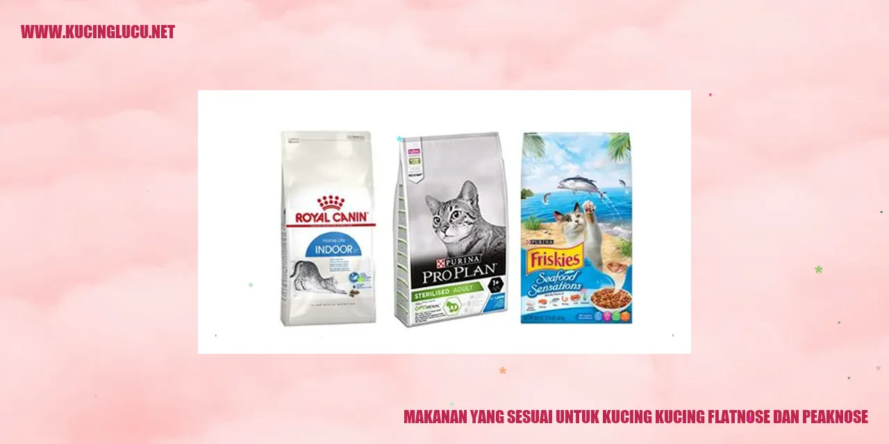 gambar kucing flatnose dan peaknose