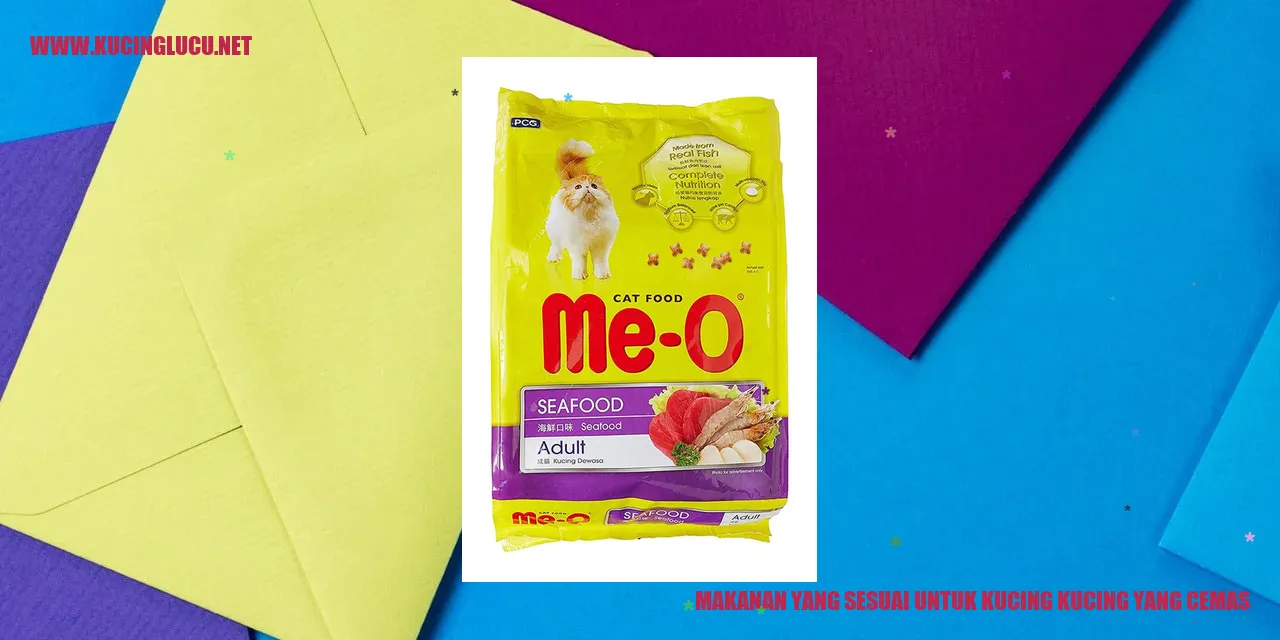 Makanan yang Sesuai untuk Kucing yang Cemas