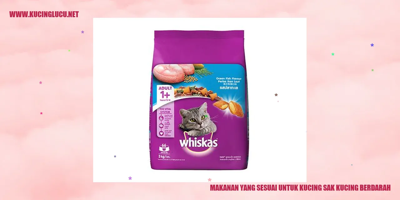Makanan yang Cocok untuk Kucing