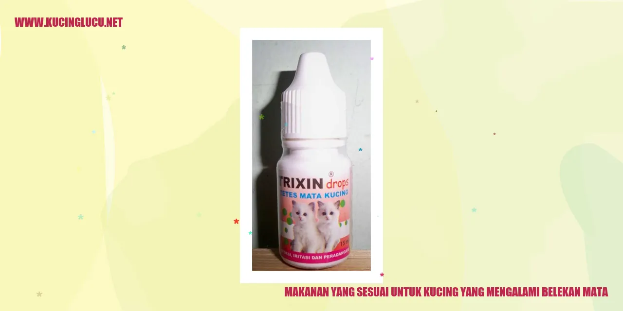 Makanan yang Sesuai untuk Kucing yang Mengalami Belekan Mata