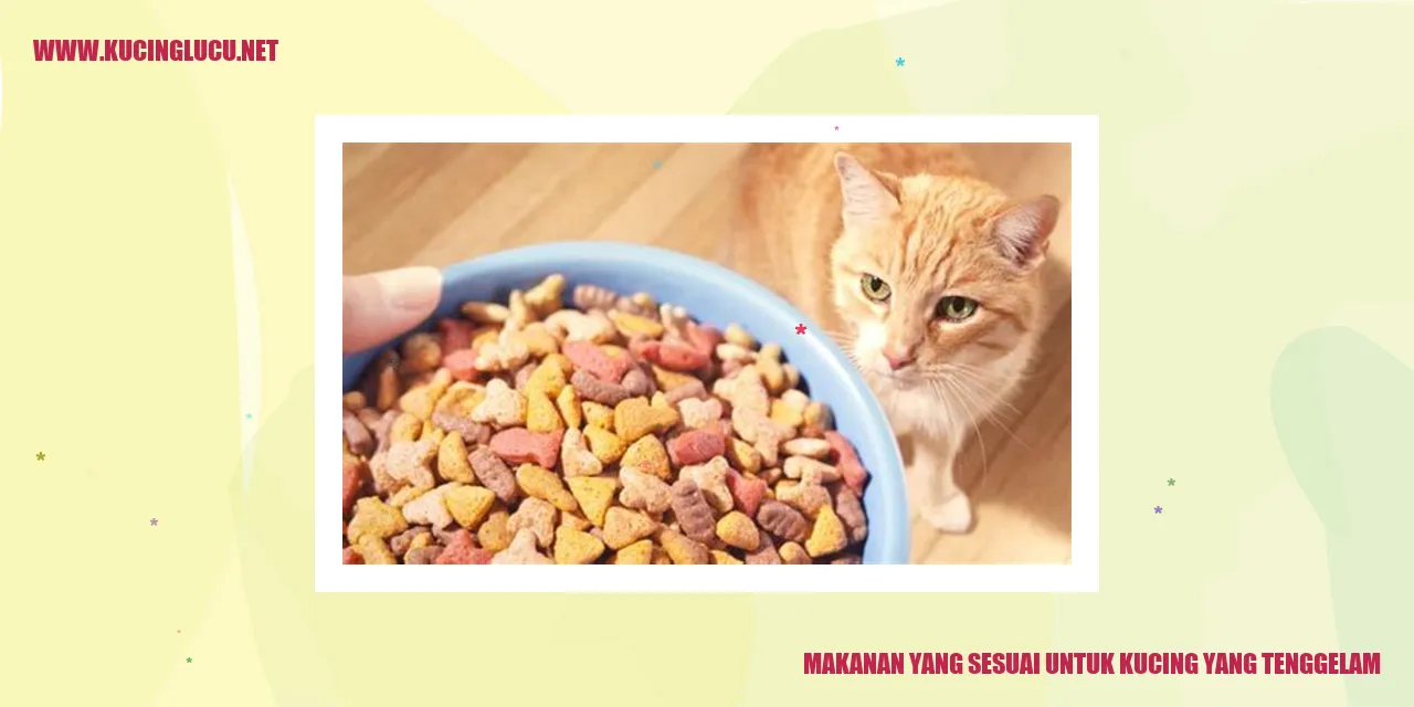 Makanan yang Sesuai untuk Kucing