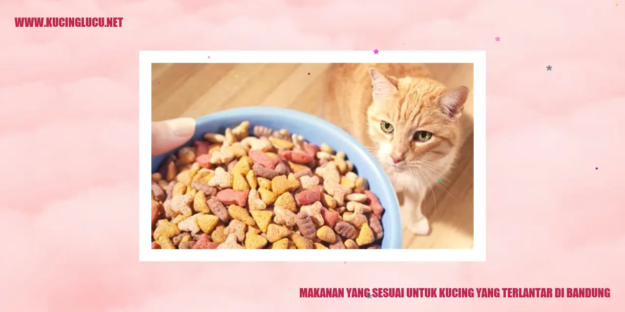 Makanan yang Sesuai untuk Kucing yang Terlantar di Bandung