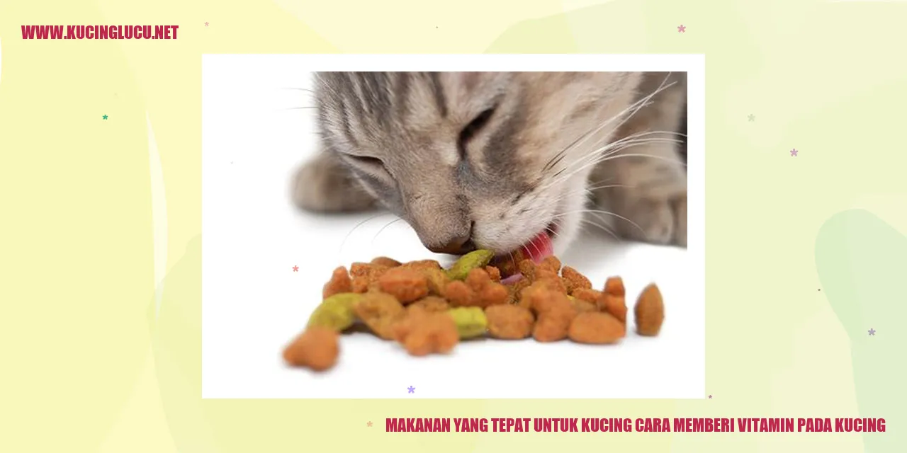 Kucing Makanan Vitamin