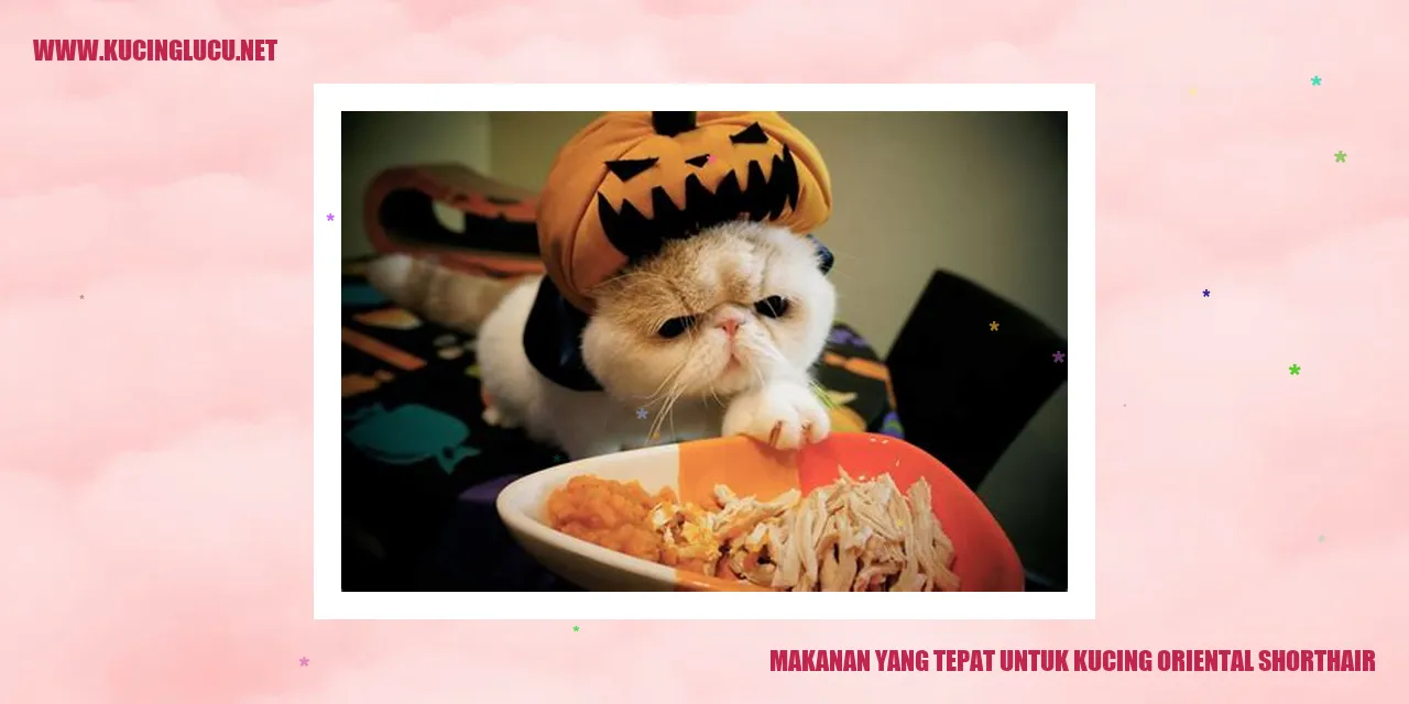 Makanan Bagus untuk Kucing Oriental Shorthair