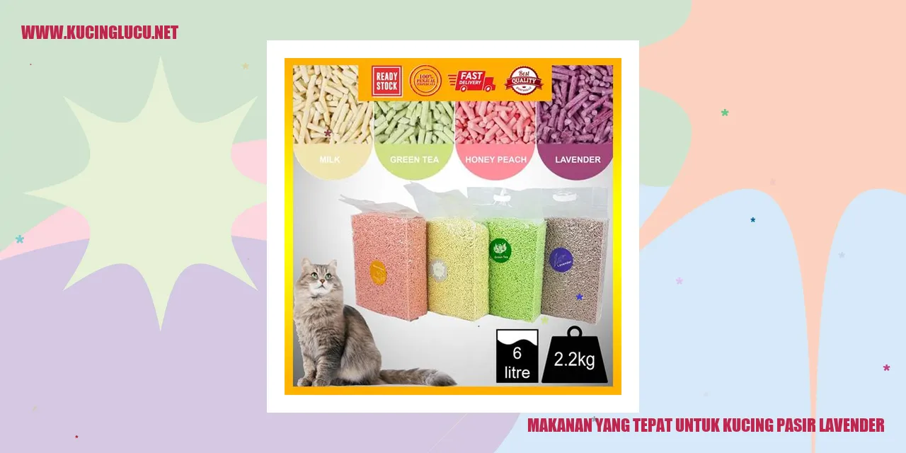 Kucing dengan pasir kucing lavender