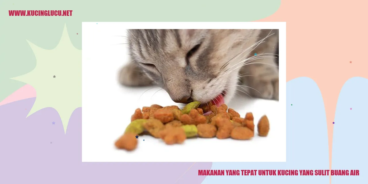 Makanan untuk Kucing yang Sulit Bab