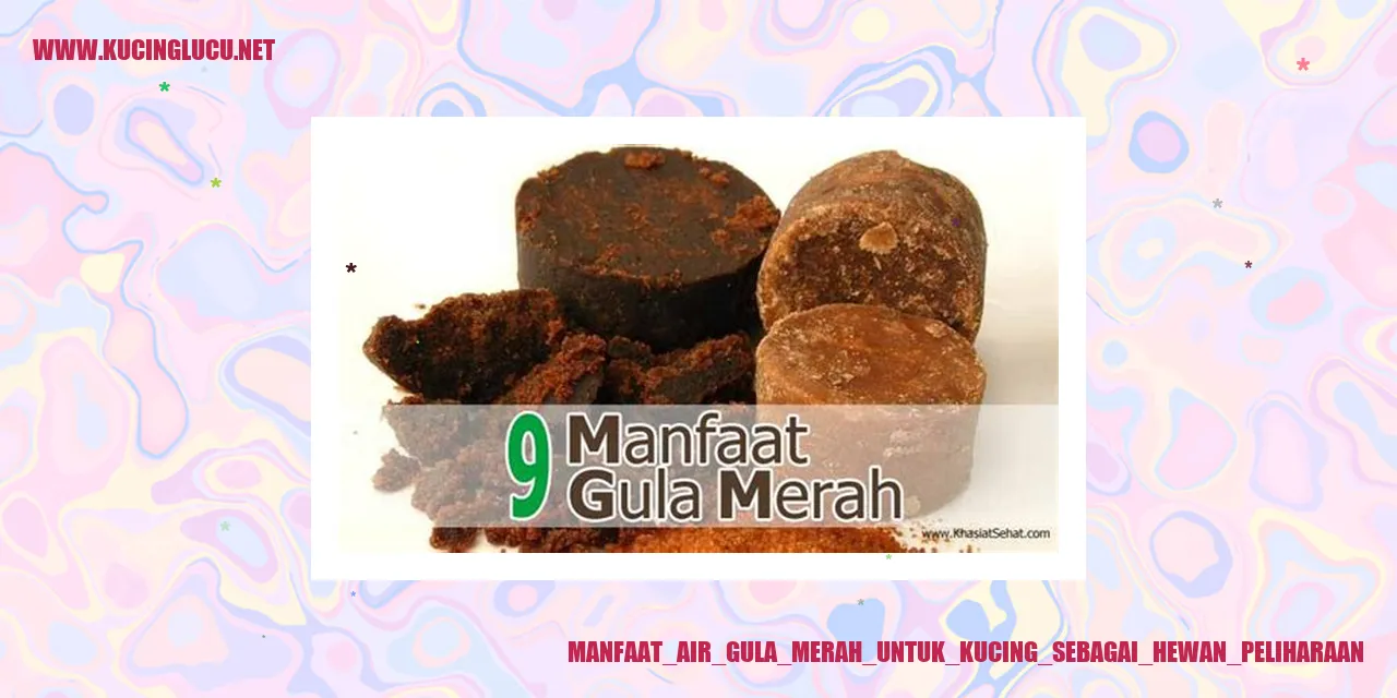 Kucing menikmati segarnya air gula merah