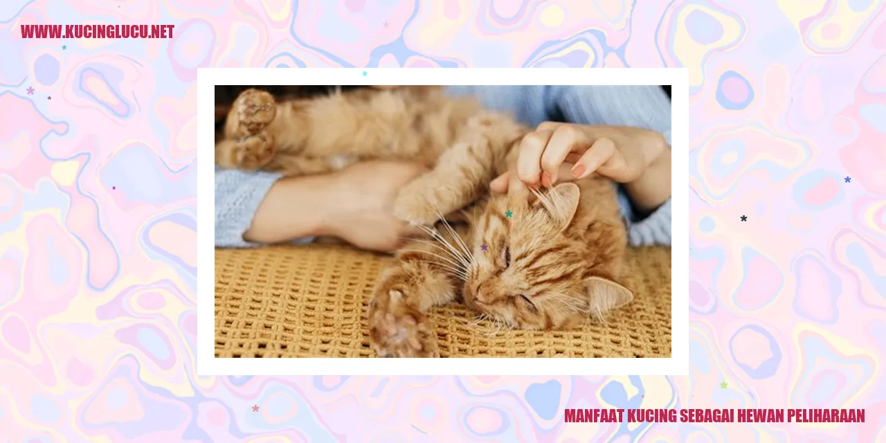 Gambar kucing bersantai di sofa