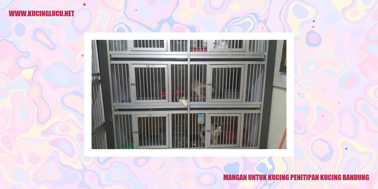 Gambar Kucing makanan