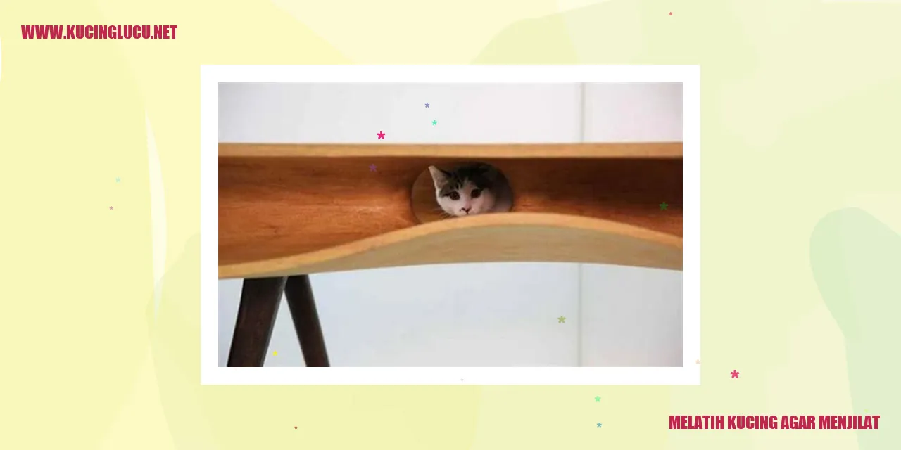 Kucing sedang menjilat