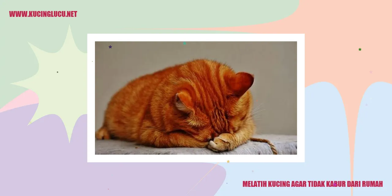 Melatih Kucing agar Tidak Melarikan Diri