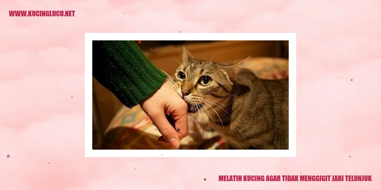 Kucing mimpi digigit kucing di jari telunjuk