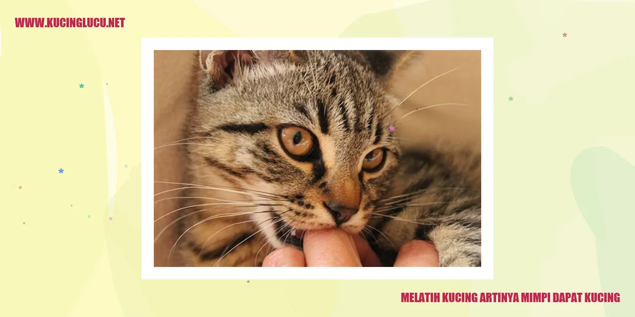 Melatih Kucing