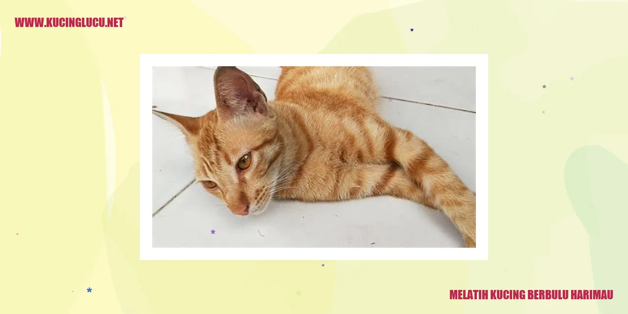 Kucing Berbulu Harimau