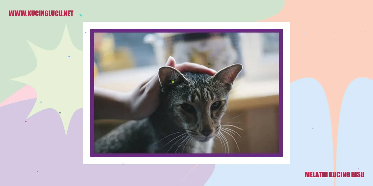 Melatih Kucing Bisu