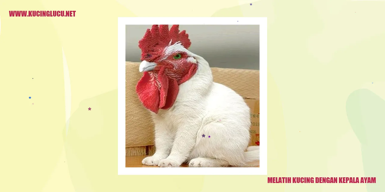 Gambar Kucing dengan Kepala Ayam