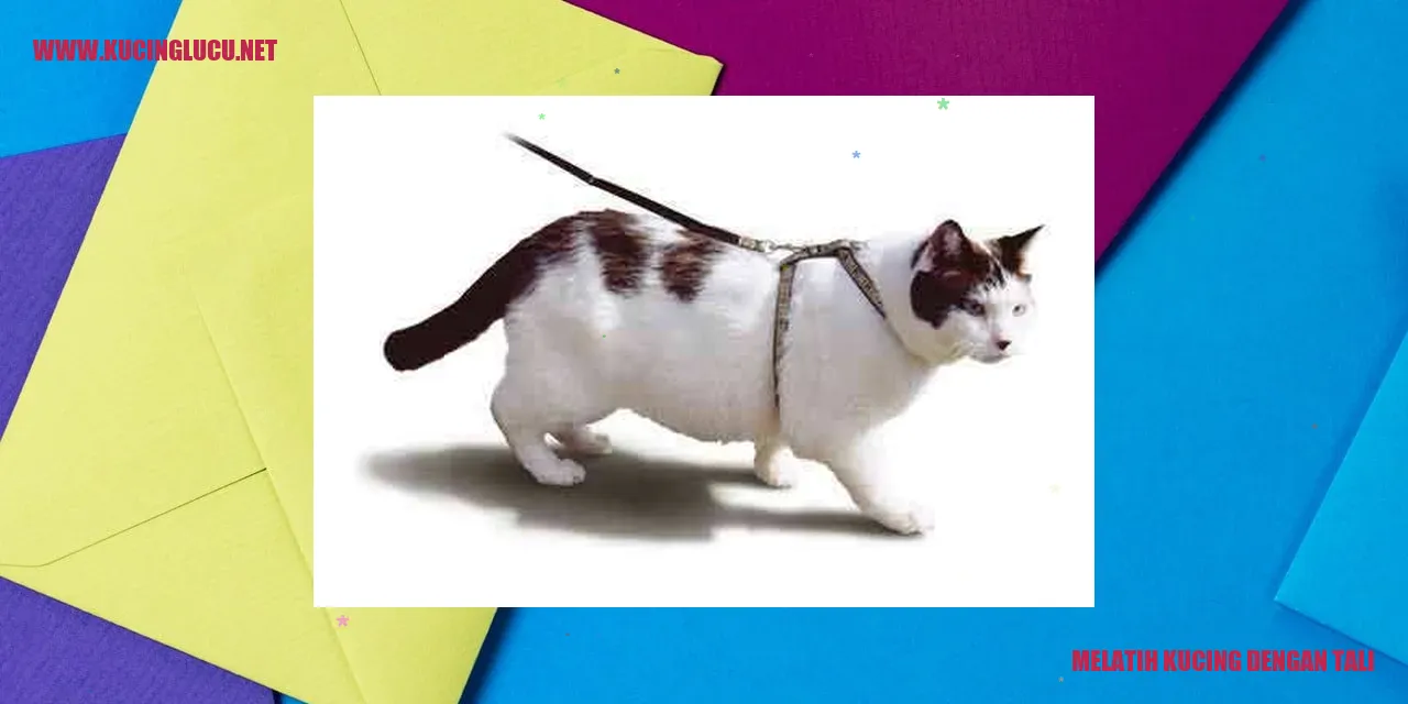 Foto kucing dengan tali