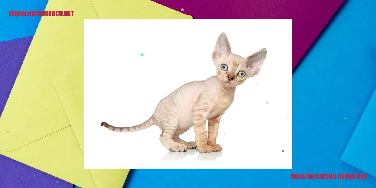 Kucing Devon Rex