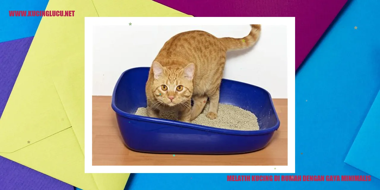 Melatih Kucing di Rumah dengan Gaya Minimalis