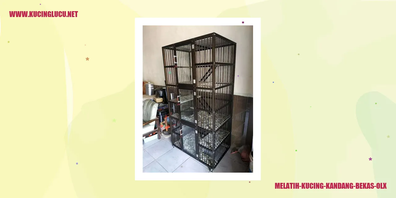 Kucing di Kandang