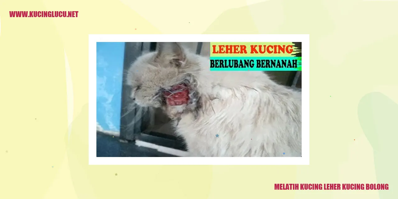 Melatih Kucing Leher Kucing Bolong