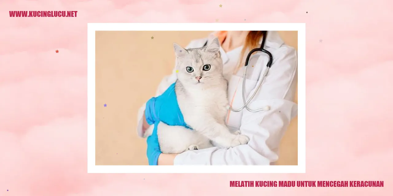 Kucing Madu