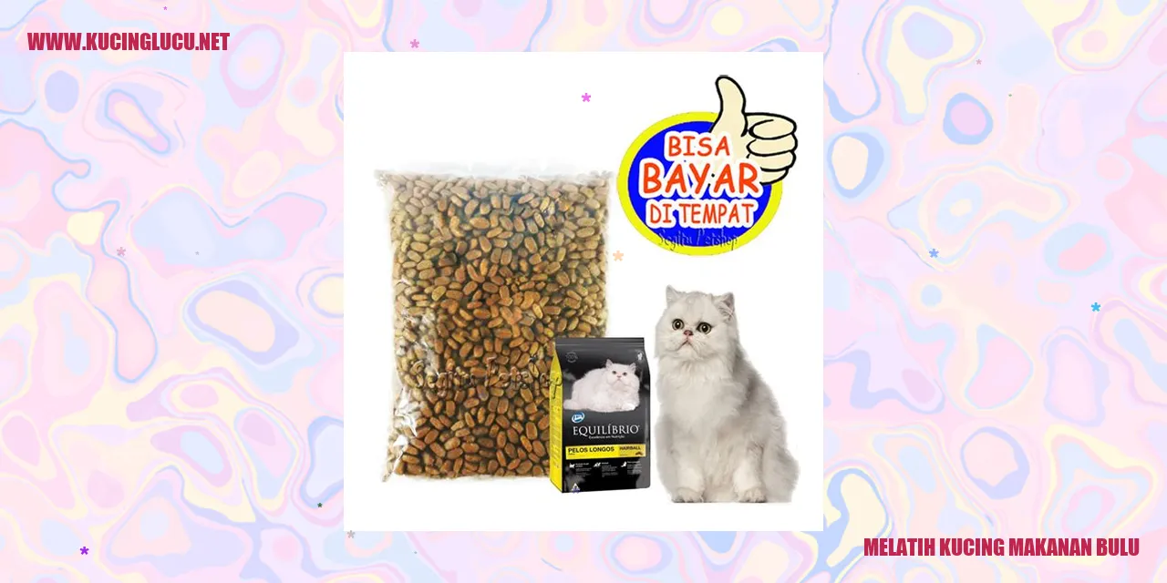 Kucing dengan bulu indah