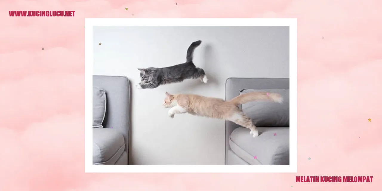 Kucing yang melompat