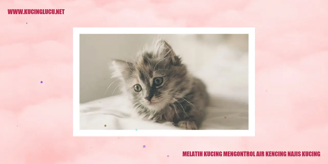 Gambar Kucing