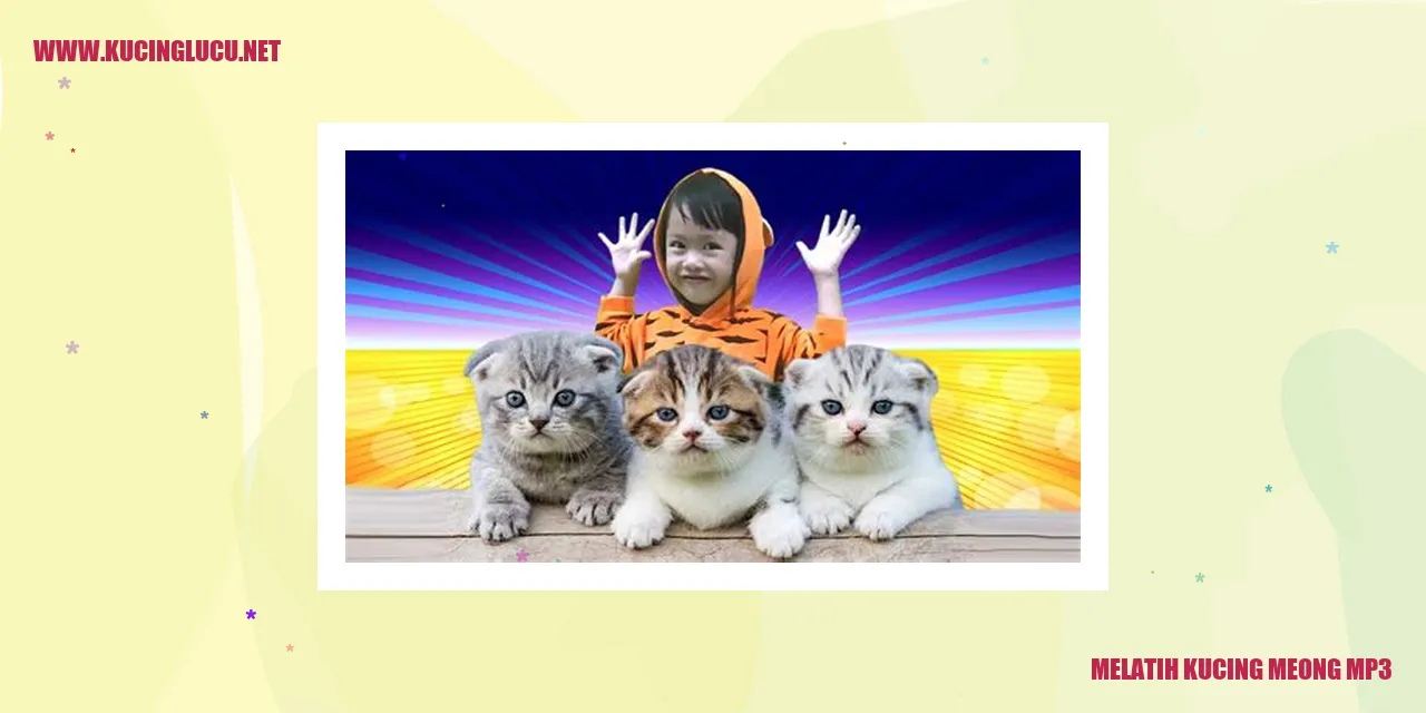 Gambar kucing mengeluarkan suara meong