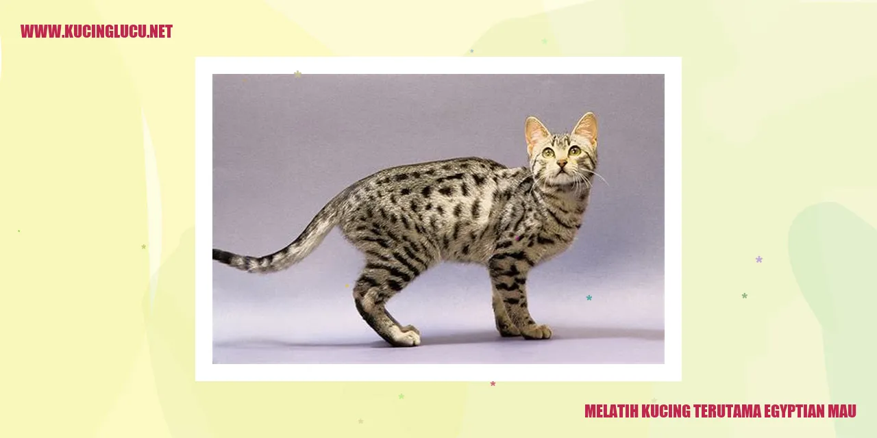 Egyptian Mau