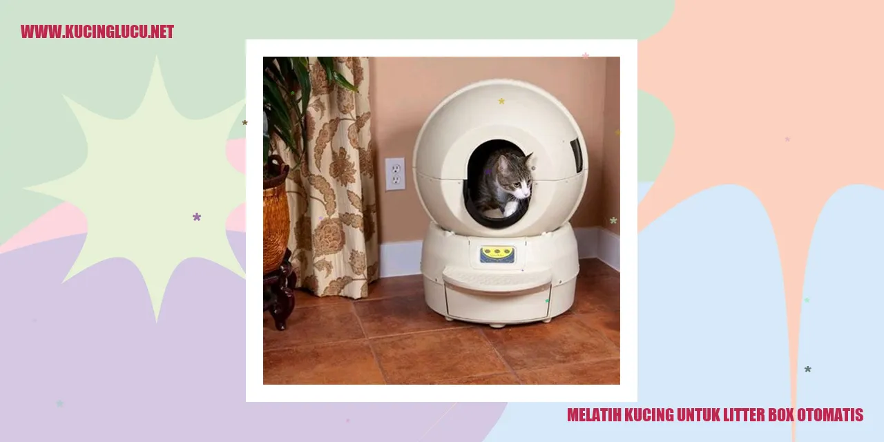 Gambar Kucing