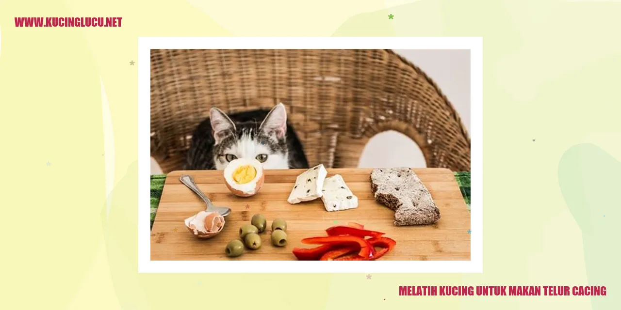 Gambar kucing lucu