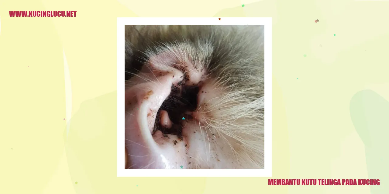 Gambar Kucing