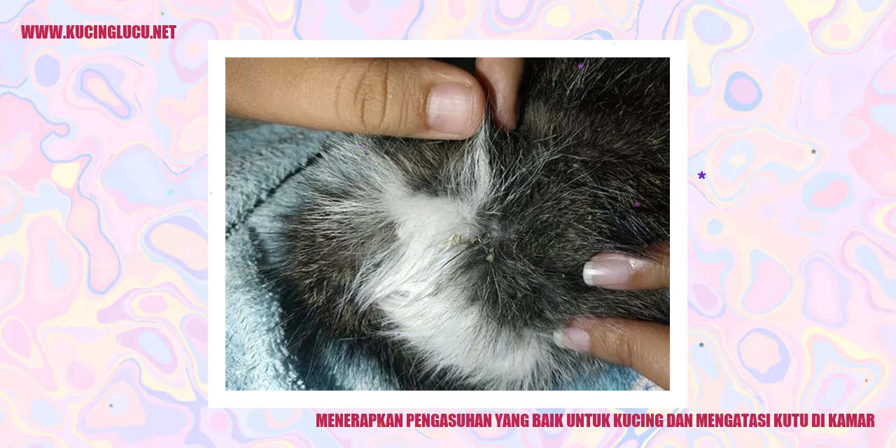 gambar kucing