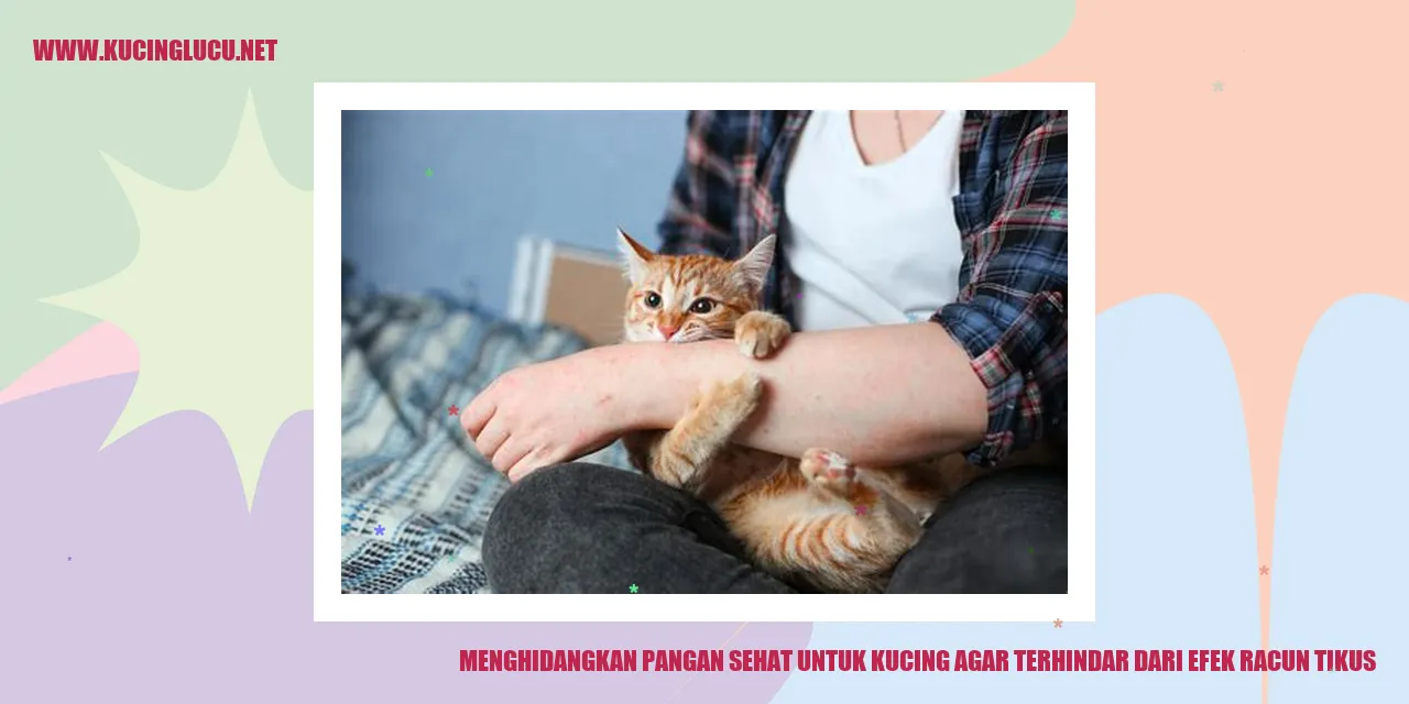 Makanan yang Cocok untuk Kucing penawar racun tikus pada kucing