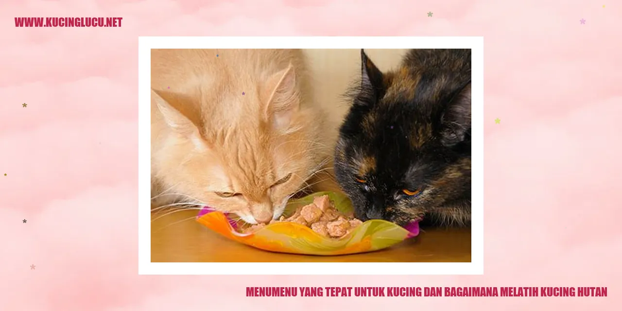 Kucing di dalam habitatnya
