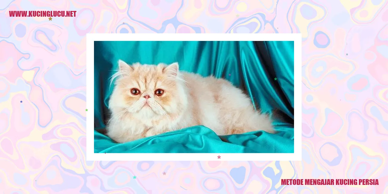 Gambar Kucing Persia